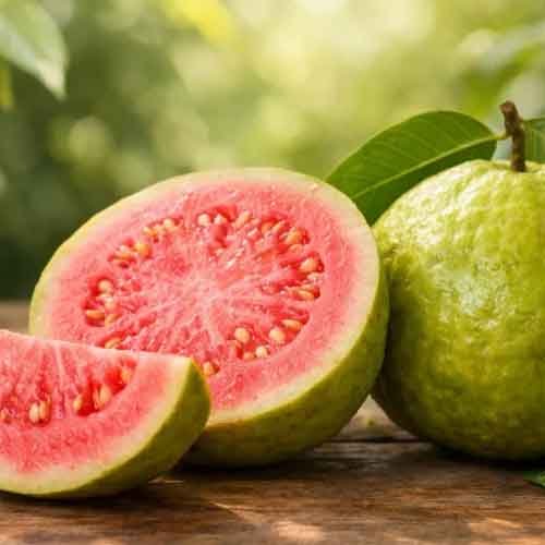 Guava