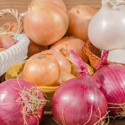 Onion