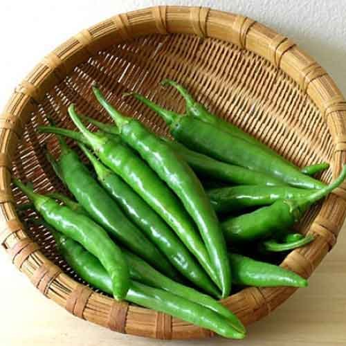 Green Chilli