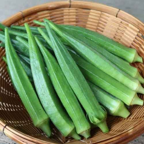 Okra (Lady Finger)